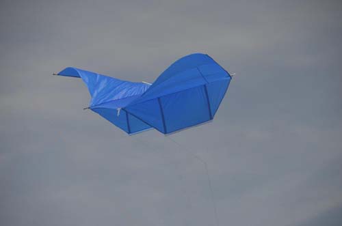 Kite Aerials