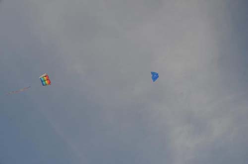 Kite Aerials