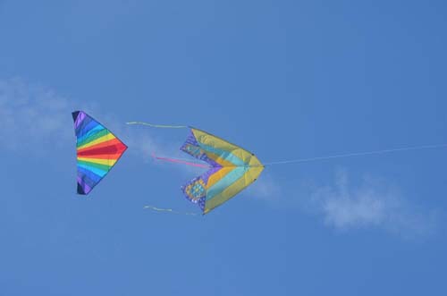 Kite Aerials