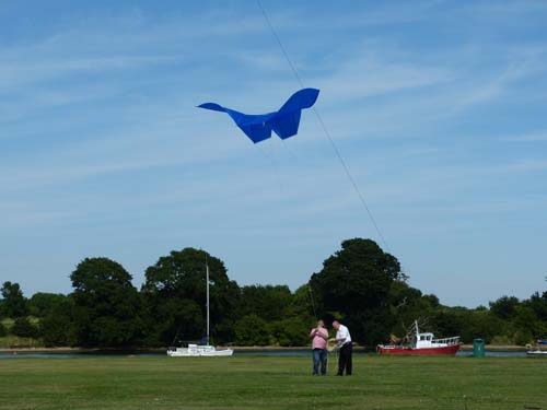 Kite Aerials